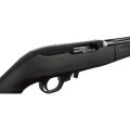 Ruger 1022 Takedown 21133 (1).jpg