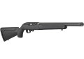 Ruger 1022 Takedown 21133 (2).jpg