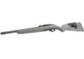 Ruger 1022 Competition Custom Shop LH 31110 (2).jpg