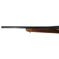Sztucer AE Precision Success Flex1.png