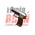 Pistolet Sig Sauer  P226S (5).png