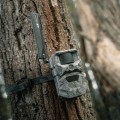 Dwupak kamera fotopułapka HIKMICRO T16 4G LTE - widok zamontowanej kamery na pniu drzewa