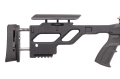 Karabin ATA Arms Long Range 1
