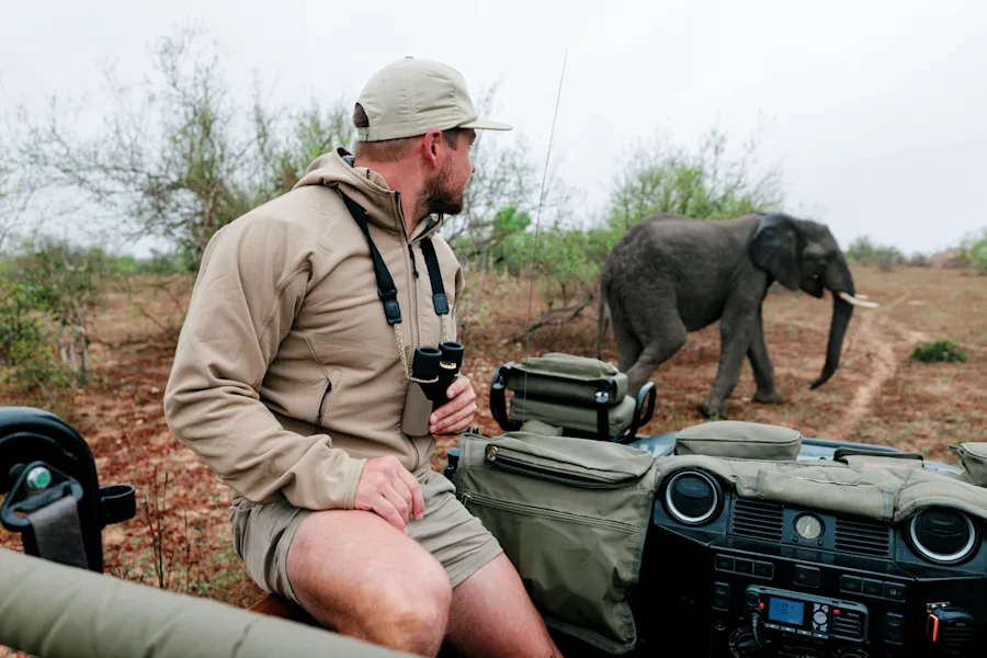 Polowanie z Swarovski CL Companion 8x30